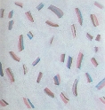 trois-15x15 cm.jpg